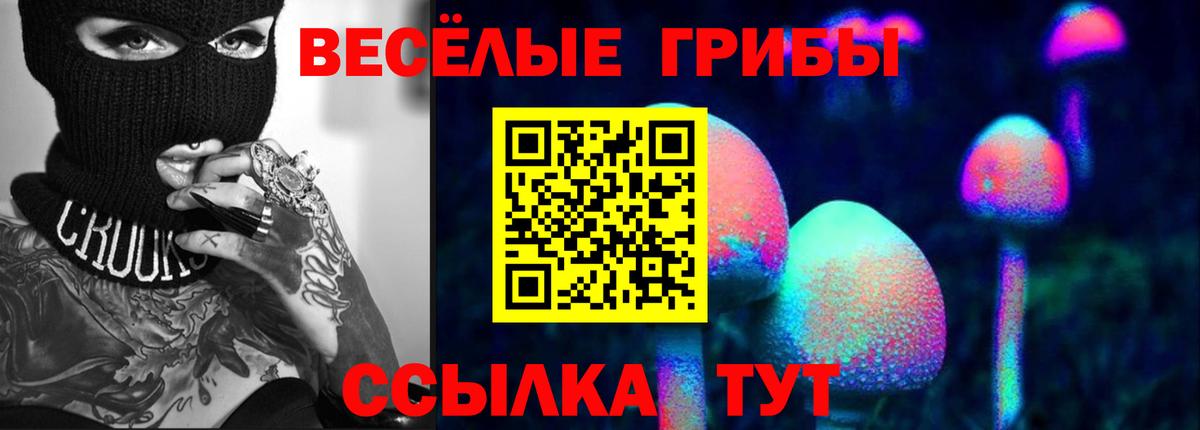 Каменск-Уральский  Галлюциногенные грибы ЛСД  магазин  наркотиков  Вход с VPN 